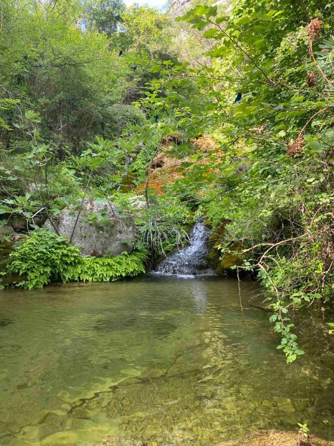 Holiday Home Pavle Rijeka Crnojevića Екстериор снимка